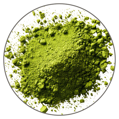 Green Tea Polyphenols