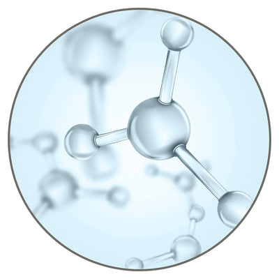 Dynamic Essence