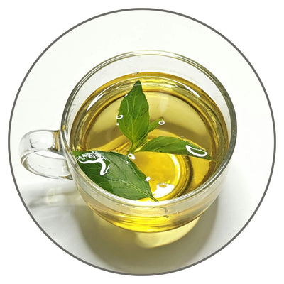 Green & White Tea